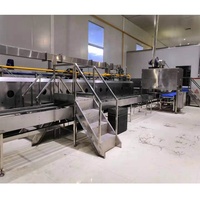 Four tunnel pour boulangerie, four tunnel industriel, four tunnel électrique pour la cuisson, prix du four tunnel, four tunnel pour biscuits