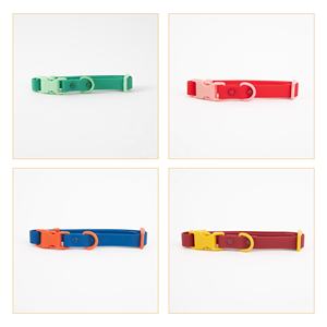 Custom Logo Kleurrijke Lange Riem Handvrije Gecoate Riem Siliconen Verstelbare Waterdichte Pvc Hond Halsband En Riem Set Voor Hond Kat - Product Image 3