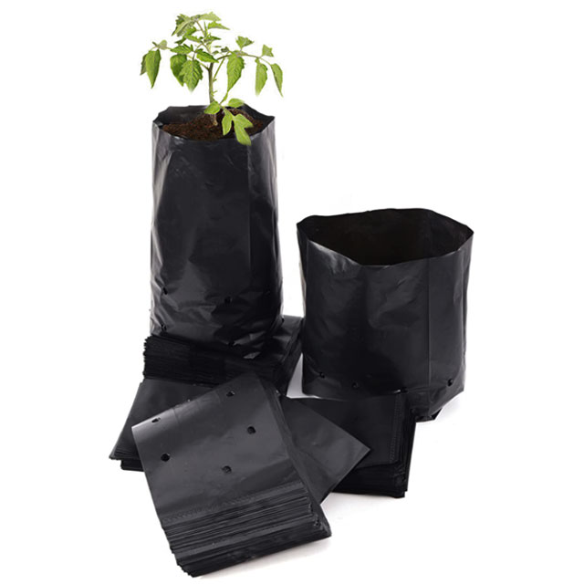 multi size Fctory durable black PE poly grow bags for plant with drain holes