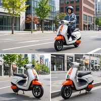 Motos électriques de course en promotion 60V/72V 20AH/30AH 1000W 2000W E-Bike