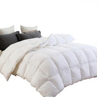 Couette en duvet de canard gris premium, taille Queen, insert de couette blanc, toutes saisons