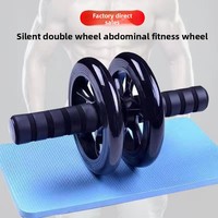 Rouleau abdominal pliable silencieux à double roue robuste OEM pour entraînement de base et abdominaux à domicile, idéal pour la remise en forme et le fitness