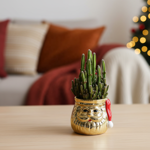 Macetas de Flores con Diseño de Animales de Dibujos Animados al por Mayor, Macetas Pequeñas y Elegantes Personalizadas para el Hogar y la Oficina - Product Image 3