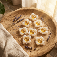 Capsules et dosettes de lessive écologiques antibactériennes parfumées aux fleurs pour vêtements - Détergent en vrac pour machine à laver