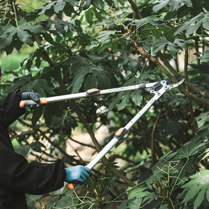 <span class=keywords><strong>Sécateur</strong></span> manuel télescopique à long manche en acier SK5 haute teneur en carbone, robuste, à 4 positions, <span class=keywords><strong>pour</strong></span> jardin, haie, arbres fruitiers et <span class=keywords><strong>branches</strong></span> - Product Image 2