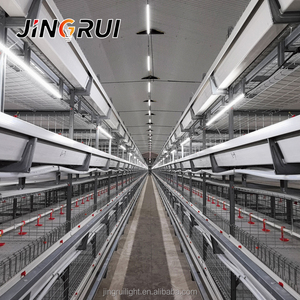 ไฟ <span class=keywords><strong>LED</strong></span> สำหรับฟาร์มสัตว์ปีก รุ่น <span class=keywords><strong>T8</strong></span> กันน้ำ IP67 ปรับความสว่างได้ ไม่กระพริบ ไม่เกิดการกัดกร่อน - Product Image 4