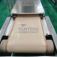 PLC-gestuurde continue magnetron-droger voor vis en schaal- en schelpdieren, automatische garnalendroger, sterilisatie- en drooginstallatie voor ansjovis en visproductie.