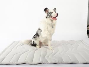 Rechthoekige Koelmat voor Kleine en Middelgrote Honden <span class=keywords><strong>2025</strong></span> Nieuwe Aangepaste Groothandel Trending Zomerhit - Product Image 4