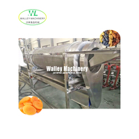 Machine de déblocage et de séchage pour raisins secs, abricots, prunes et pruneaux, marque Walley, origine Zhejiang, prix usine