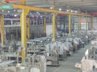 Machine d'emballage multi-voies automatique pour gels énergétiques sportifs, machine d'emballage pour sachets de forme irrégulière