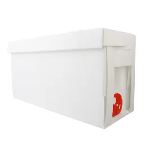 Polypropylene cardboard bee box 5 frames plastic nuc box suitable for dadant frame