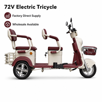 Triciclo Eléctrico para Adultos con Batería de 48V y 600W, Marco de Hierro, Frenos de Disco Delanteros/Tambor Traseros, para Viajes Diarios de Personas Mayores y Niños