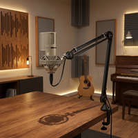 Micrófono de Condensador Profesional para Estudio Midiplus Hz9, Micrófono de Grabación XLR con Diafragma Grande de 34 mm para Voces y Instrumentos Profesionales