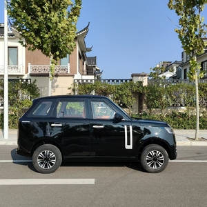 Heiß begehrtes 2026er neues Mini-Energieauto, kompaktes Vierrad-Elektroauto mit Lithiumbatterie, 60V 3500W für Erwachsene – günstigster Motor - Product Image 2