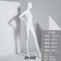 Manekin fiberglass model wanita full body untuk pajangan toko pakaian, etalase, dan pakaian dalam wanita tahun 2024