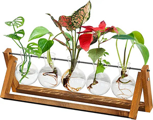 Maceta de Vidrio para Plantas, Terrario de Escritorio, Florero para Plantas Hidropónicas de Interior, Decoración para Hogar, Jardín y Oficina - Product Image 6