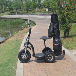 Patinete Eléctrico con Certificación CE de 800W 48V para Personas con Discapacidad y Uso en <span class=keywords><strong>Golf</strong></span> para Adultos YXEB-712 - Product Image 6