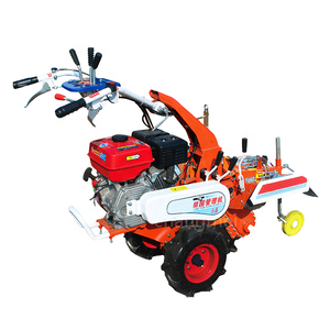 Zaino portatile diserbo mitragliatrice Marketing chiave cilindro componenti di alimentazione del nucleo pompa motore <span class=keywords><strong>per</strong></span> agricoltura giardino diserbo - Product Image 4