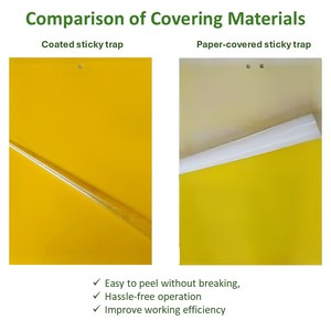 Pièges à colle jaunes en papier personnalisés en gros, tailles variées, pour l'agriculture professionnelle et l'agriculture durable - Product Image 2