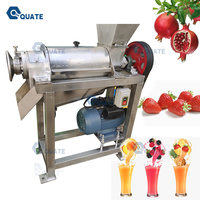 Équipement de fabrication de jus industriel pour les betteraves et oignons naturels de carotte de citron vert avec système de filtration à haute efficacité