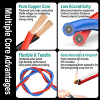 Fil torsadé en cuivre pur RVS, 2 conducteurs, 1,5 mm², résistant au feu, paire torsadée en PVC, norme nationale pour usage domestique