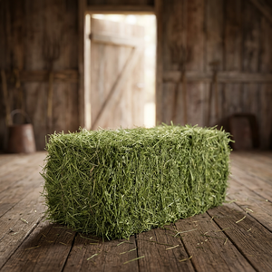 Heno de Alfalfa estándar Premium para alimentación Animal, heno de Alfalfa para alimentación Animal - Product Image 3