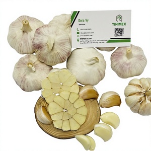 กระเทียมเวียดนามสดใหม่ คุณภาพเยี่ยม ยี่ห้อ Lehsun/Bawang Putih/Ninniku-TINIMEX อายุการเก็บรักษา 1 ปี พร้อมส่งออก (WA +84) - Product Image 1