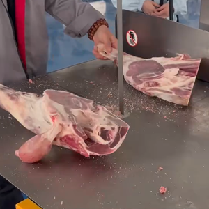 Segaossa Professionale da Banco Automatica Commerciale per Tagliare Carne e Ossa Congelate con Componente Principale del Motore - Product Image 3