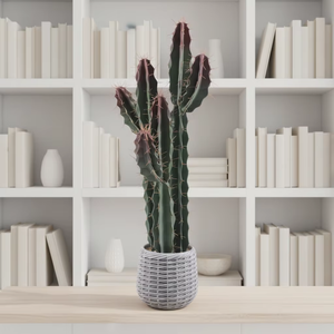 Planta Artificial de Cacto em Vaso, Simulação de Suculenta para Decoração Interna de Casa e Escritório, Ornamento de Mesa com Vaso Trançado - Product Image 1
