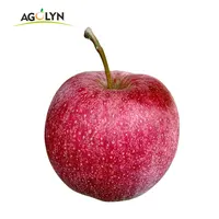 赤の新鮮な青安リンゴの新鮮な果物の犠牲に人気