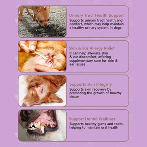 Gocce naturali a base di erbe Echinacea timo goldensare per cane supporto immunitario infezione infiammazione sollievo allergia pelle prurito - Product Image 2