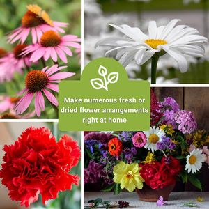 Grande cimelio Non-ogm pacchetto <span class=keywords><strong>di</strong></span> <span class=keywords><strong>semi</strong></span> <span class=keywords><strong>di</strong></span> fiori per uso esterno con girasoli garofani che attirano impollinatori taglio mazzi - Product Image 3