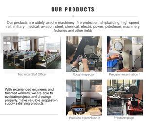 Гидравлический быстроразъемный соединитель (картридж) с плоским торцом для Bobcat 7246802, аналог оригинального, для мини-погрузчиков - Product Image 6