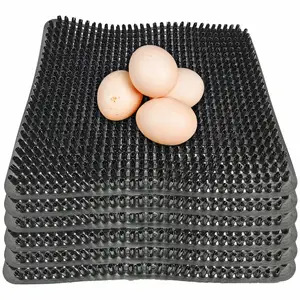 Nest legen Eier PP Kunststoff Huhn Nist pads für Hühnern est Boxen