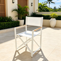 Chaise pliante en aluminium de haute qualité pour le camping, imperméable, avec accoudoirs en plastique imitation bois, idéale pour les directeurs et l'utilisation en extérieur dans les parcs.