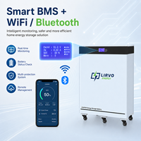 Baterías de Almacenamiento de Energía Doméstica de Gran Capacidad de 30kwh/40kwh, Sistema de Baterías de Litio LiFePo4 de 48V 600Ah con BMS para Sistema Solar