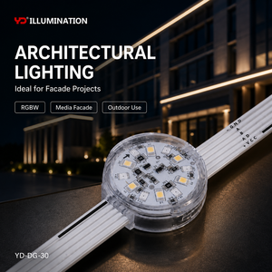 ไฟ LED จุดสำหรับตกแต่งสะพานกลางแจ้ง มาตรฐาน IP68 - Product Image 1