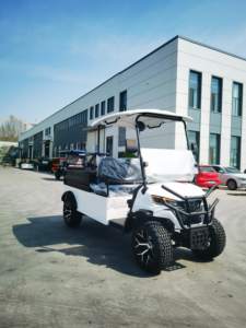 Voiturette de golf électrique utilitaire avec benne arrière - Product Image 2