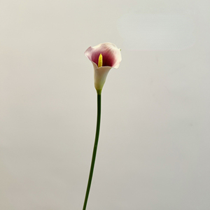 Fleurs artificielles au toucher réel en PU Calla, arrangement floral pour la maison et les mariages - Product Image 6