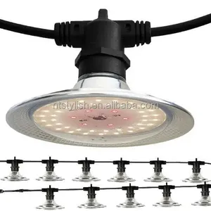 AC power Special Dish UFO Growing Light String 15W Bulbs Outdoor Waterproof Plant Lamp para Farm