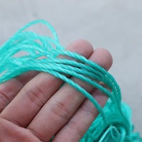 Filet à mailles pour oiseaux de haute qualité HDPE Raschel sans nœuds filet anti-oiseaux Monofilament Agriculture PE filet à oiseaux