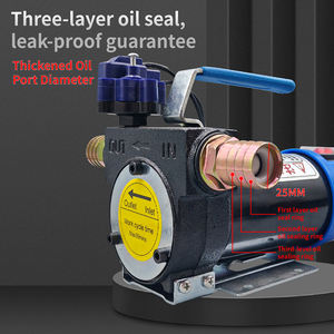 משאבת שמן חשמלית קטנה 12V24V דיזל נפט משאבת תדלוק מהירה, משאבת העברה 300W 45L/min OEM - Product Image 3