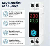 OEM Tuya WiFi Smart Mini Plastic MCB 1P 18mm 10kA Montage sur rail DIN