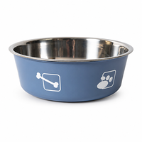 Gamelle double couche en acier inoxydable pour chien et chat, antidérapante, anti-chute, anti-renversement, motif empreinte de patte, pour l'alimentation transfrontalière