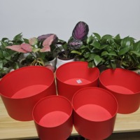 Kotak Kertas Bulat 5 Buah Warna Solid Laris Manis, Kotak Bunga Merah Besar Bulat dari Karton untuk Hari Valentine