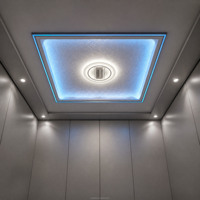Plafonnier LED Lumineux de Haute Qualité à Prix Abordable pour Ascenseurs, Centres Commerciaux, Bureaux et Immeubles Résidentiels - Vente Flash