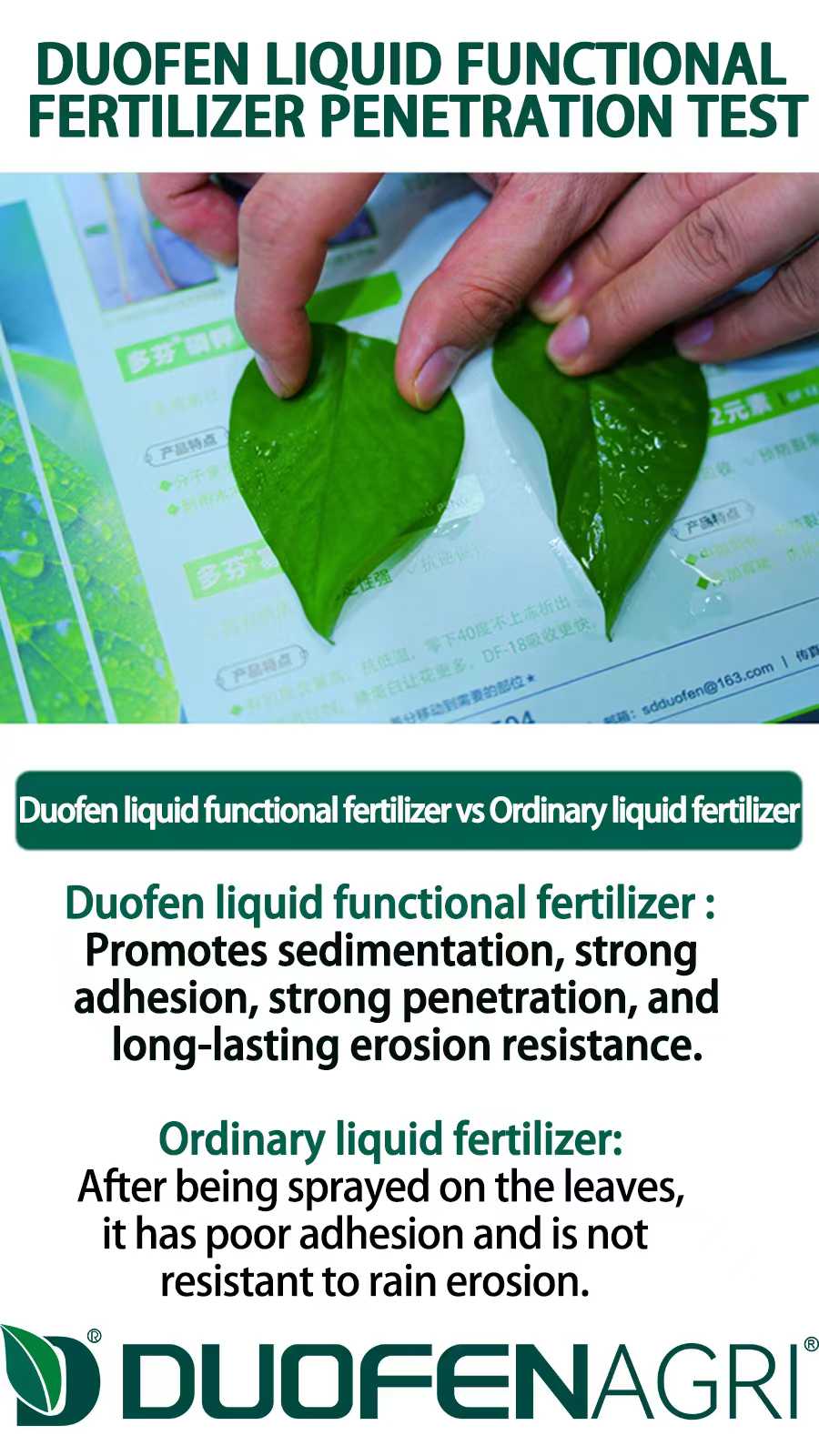 Wholesale Seaweed Liquid Fertilizer with Ca Mg for Crops image 4