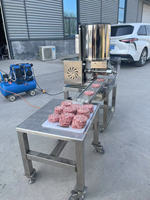 Machine à former des galettes de poisson et de viande (hamburger, poulet, bœuf, filet) - Offre Spéciale
