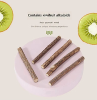Jouet interactif pour chat : bâtonnet à chatouiller avec herbe à chat et fruit de galline (Actinidia Polygama) pour le nettoyage des dents