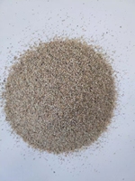 Agent de déshambrage et d'élimination des scories de perlite expansée en granulés 10-80 Mesh pour aciers moulés - Vente chaude